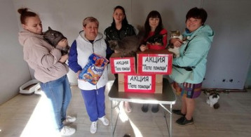 АКЦИЯ "ЛАПА ПОМОЩИ" АКЦИЯ "ЛАПА ПОМОЩИ".