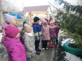 Воспитанники наблюдали за пробуждением природы Воспитанники наблюдали за пробуждением природы.