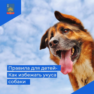 ПРАВИЛА ДЛЯ ДЕТЕЙ - КАК ИЗБЕЖАТЬ УКУСА СОБАКИ ПРАВИЛА ДЛЯ ДЕТЕЙ - КАК ИЗБЕЖАТЬ УКУСА СОБАКИ.